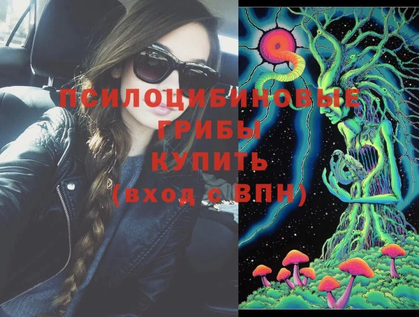 ПСИЛОЦИБИНОВЫЕ ГРИБЫ Абаза