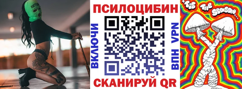 Галлюциногенные грибы Psilocybe Чапаевск