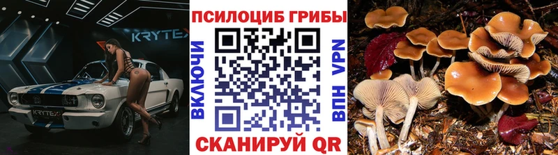 гидра как войти  Чапаевск  Псилоцибиновые грибы мухоморы 