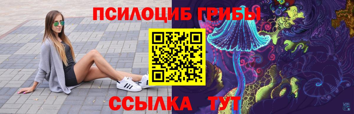 Псилоцибиновые грибы Magic Shrooms  Вход с VPN  Чапаевск  Псилоцибиновые грибы MAGIC MUSHROOMS 