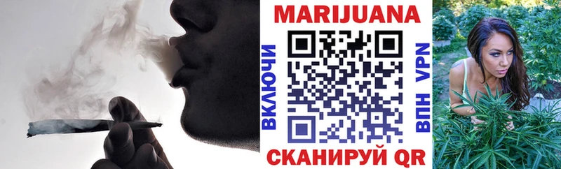 где найти наркотики  Чапаевск  Конопля сатива 